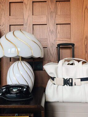 NWT Cincha Travel Belt & Belt Bag for Suitcase in White Blue Black Stripes